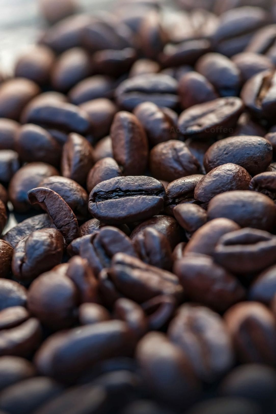 春に楽しむ、Aozora Coffeeのおすすめブレンド